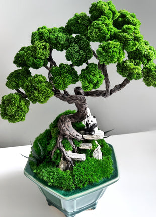 Zen garden, Gift for Plant Lovers, Moss Art, Eco-Friendly Decor, Preserved Moss Bonsai