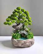 Unique Preserved Moss Bonsai Tree with Miniature Bridge & Pond - MagicGardens