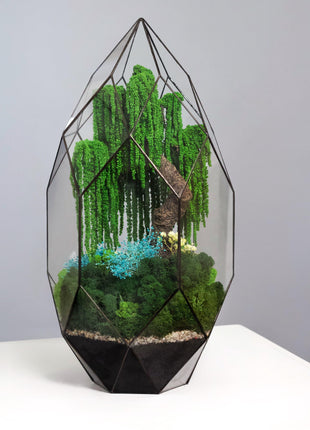 Unique Gift, Crystal pyramid terrarium with preserved moss willow