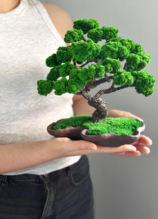 Preserved Moss Japanese Bonsai Tree