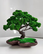 Handcrafted Preserved Moss Japanese Bonsai Tree - MagicGardens