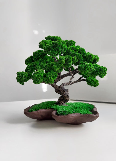 Unique Low-Maintenance Zen Decor for Home