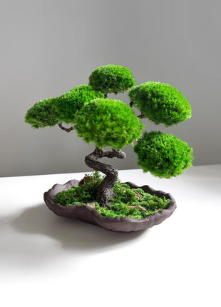 Lucky Tree Bonsai - Elegant Zen Décor