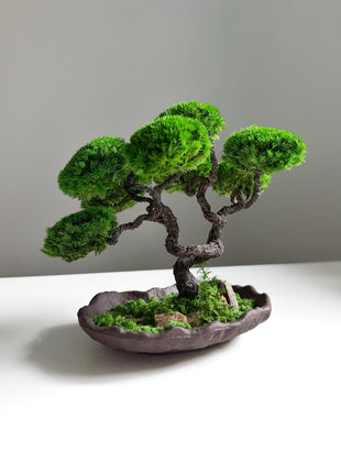 Elegant Zen Décor, Minimalist Artificial Bonsai for Home