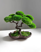Handmade Lucky Tree Bonsai - MagicGardens