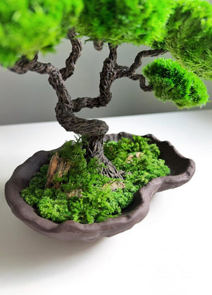 Preserved Moss Japanese Bonsai, Low-Maintenance Plant