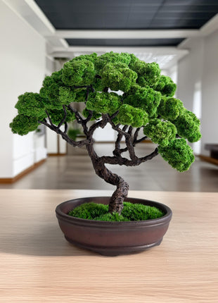 Artificial Bonsai , Preserved Moss Tree, Best Gift For Mom