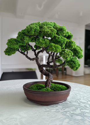 Modern Artificial Bonsai , Preserved Moss Tree, Best Gift For Mom