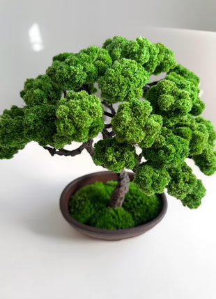 Bonsai Tree - Elegant Japanese Table Home Décor