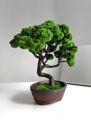 Perfect Bonsai Tree - Elegant Japanese Table Home Décor,