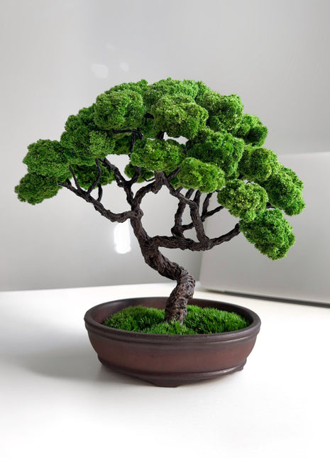 Perfect Low-Maintenance Bonsai Tree - Elegant Japanese Table Home Décor,