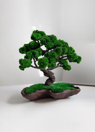 Handcrafted Preserved Moss Japanese Bonsai Tree