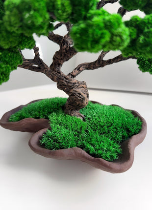 Handmade Bonsai Tree