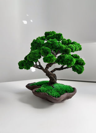 Handmade Preserved Moss Japanese Art