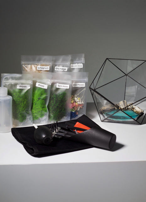 Geometric Glass Planter & Tool Set – Terrarium Kit with Preserved Moss, DIY, Prism Suncatcher, Galentine gift, Shelf Hypebeast Decor