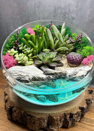 Glass Planter Set, Complete Preserved Moss, Shelf decor