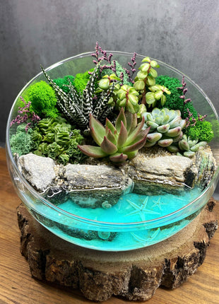 Handcrafted Glass Planter Set, Complete Preserved Moss, Shelf decor