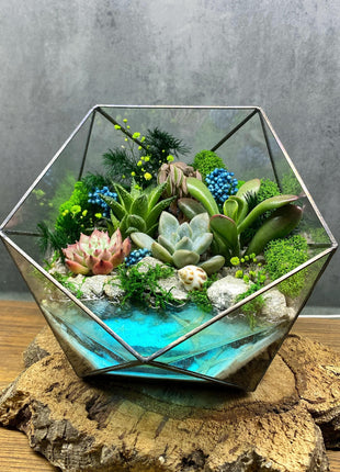 Preserved moss Geometric Terrarium Kit