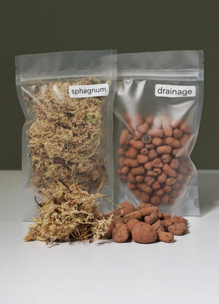 Preserved moss terrarium kit