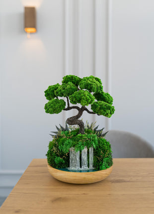 Unique Waterfall Preserved Moss Japanese Bonsai Tree