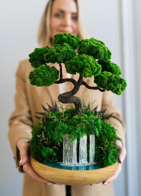 Japanese Bonsai Tree, Low-Maintenance Zen Decor for Home or Office, Indoor Plants