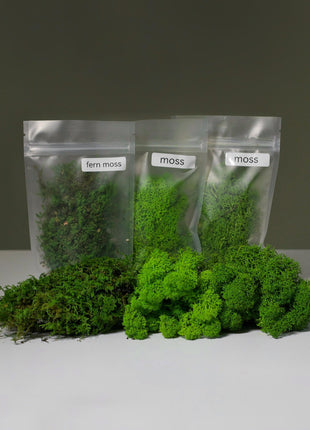Terrarium DIY Kit with Preserved Moss – Complete Geometric Terrarium Kit with Tools, Materials & Online Course, Moss Art Kit for Home Decor