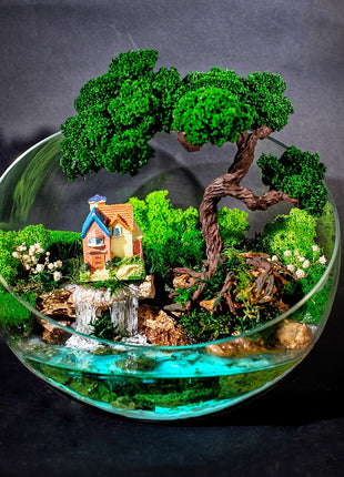 DIY Round Terrarium Set with Tools and Preserved Moss, House Warming Gift