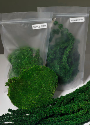 Preserved Moss Terrarium Craft Kit – DIY Botanical Kit with Tools, Glass Vessel & Preserved Moss for Calming Home Decor, Zen Garden Gift