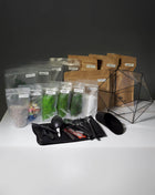 Terrarium DIY Kit with Preserved Moss & Online Course - MagicGardens