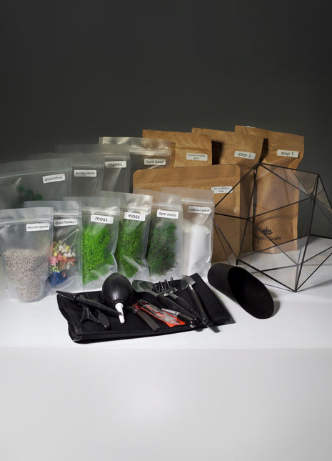 Zen Moss Terrarium Craft Kit – DIY Botanical Kit with Tools, Glass Vessel & Preserved Moss for Calming Home Decor