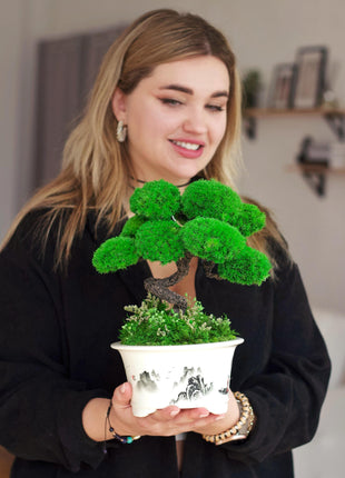 Plant Decor - Preserved Moss Bonsai Tree in Hand-Painted Pot