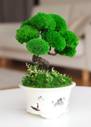 Handcrafted Plant Decor - Preserved Moss Bonsai Tree in Hand-Painted Pot