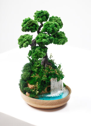 Indoor Plants, Handmade Lucky Tree