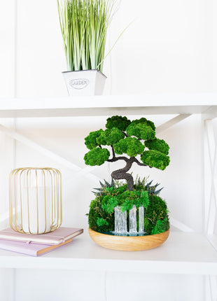 Japanese Bonsai Tree, Low-Maintenance Zen Decor for Home or Office