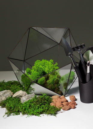 Moss Terrarium Kit with Colored Sand & Tools | Geometric Glass Container