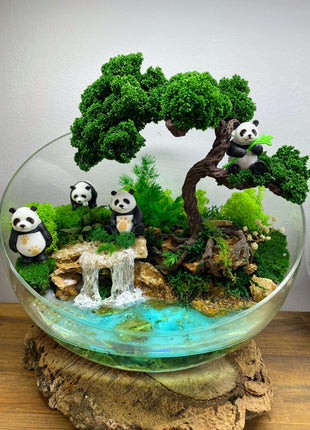 DIY Moss Art Kit - Round Terrarium Set with Tools and Preserved Moss, Make Your Own Mini Garden with Guided Tutorial, House Warming Gift