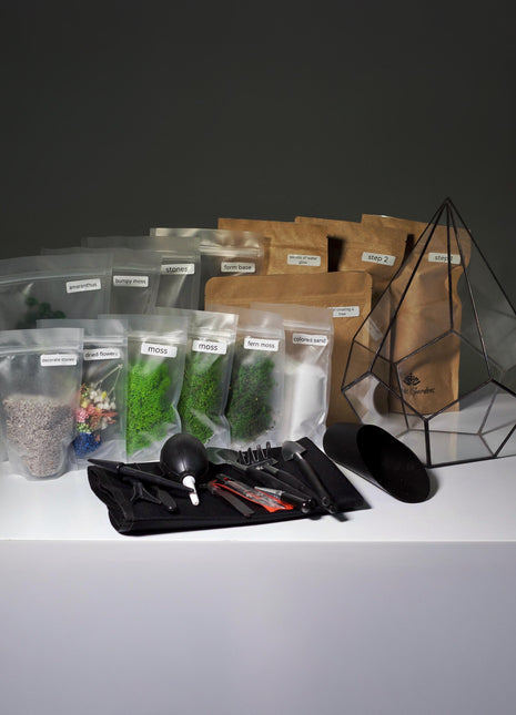 Preserved Moss Terrarium Craft Kit – DIY Botanical Kit with Tools, Glass Vessel & Preserved Moss for Calming Home Decor, Zen Garden Gift