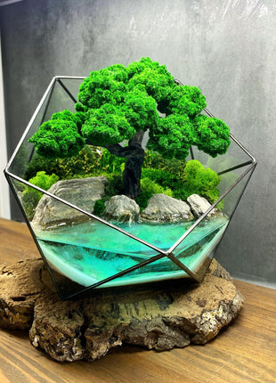 DIY Botanical Kit with Tools, Glass Vessel & Preserved Moss for Calming Home Decor