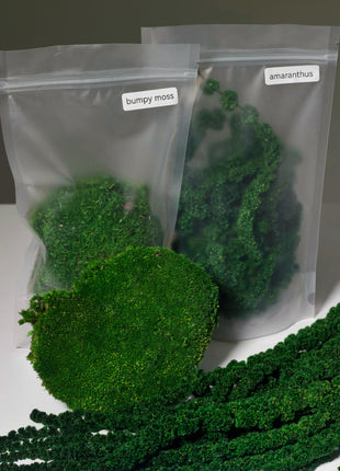 Terrarium DIY Kit with Preserved Moss – Complete Geometric Terrarium Kit with Tools, Materials & Online Course, Moss Art Kit for Home Decor