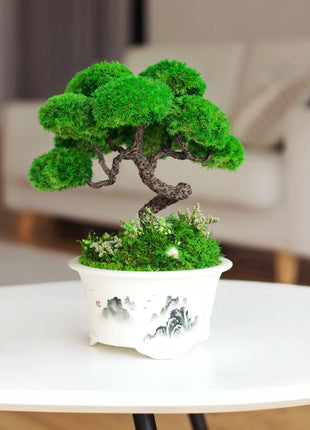 Preserved Moss Bonsai Tree in Hand-Painted Pot, Zen, No-Maintenance Artificial Bonsai Plant Gift