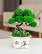 Unique Handmade Plant Decor - Preserved Moss Bonsai Tree in Hand-Painted Pot - MagicGardens