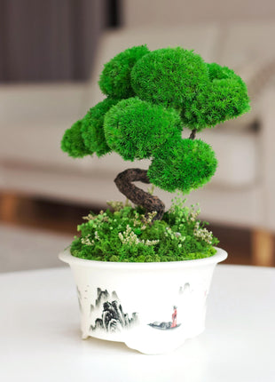 Unique Handmade Plant Decor - Preserved Moss Bonsai Tree in Hand-Painted Pot, Zen Home Garden, No-Maintenance Artificial Bonsai Plant Gift