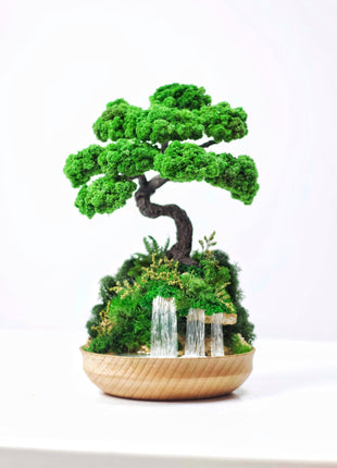 Preserved Moss Japanese Bonsai Tree, Low-Maintenance Zen Decor for Home or Office