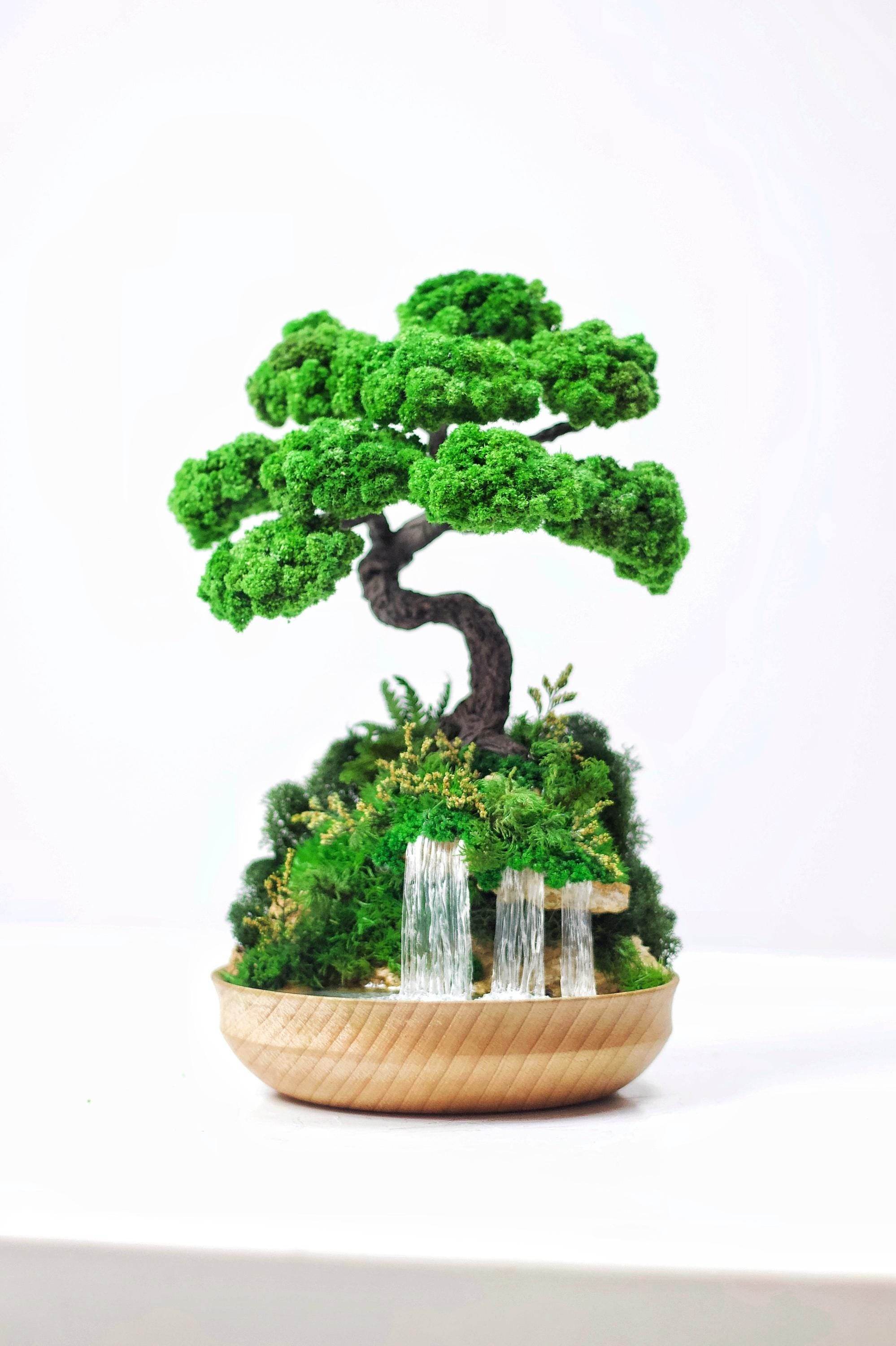 real bonsai tree with waterfall Unique Waterfall Preserved Moss Japanese Bonsai Tree