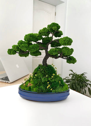 Bonsai with preserved moss and waterfall – Mountain Harmony - MagicGardens