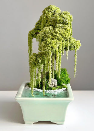 Japanese style preserved willow bonsai 30×25 cm with flowing moss branches and stone landscape