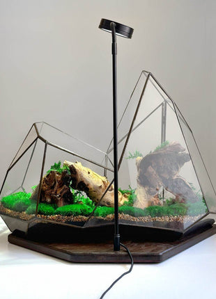 Mountain Waterfall Terrarium with Moss and Lamp – Large Glass Display - MagicGardens