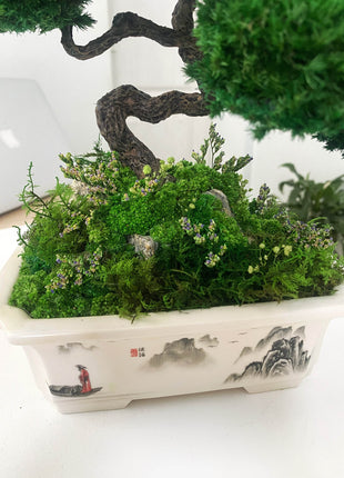 Bonsai with stabilized plants Emperor's Garden | Ceramic planter - MagicGardens