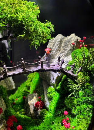 Customer review collage of Japanese Valley bonsai moss terrarium Magic Gardens