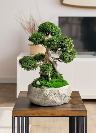 Magic Gardens preserved moss bonsai Serenity Tree — elegant handmade decor for stylish interiors